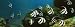 Aquarium - Art Print Poster - 28 x 10