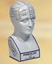 Authentic Models Porcelain Phrenology Head Bust