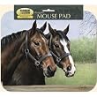 Pair of Brown Horses Computer Mouse Pad Caroline's Horses