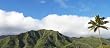Mountains and Palm Trees, Oahu Island, Hawaii - Splendid 16"x20" Photographic Print by Brendan Reals