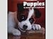Puppies Dogs 16 Month 2010 Wall Calendar