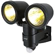 RITEX&nbsp;R�V���[�Y&nbsp;�Z���T�[���C�g&nbsp;�n���Q��100W�~2&nbsp;R-200N