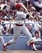 Carlton Fisk Boston Red Sox 8x10 Photo