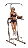 Best Fitness Vertical Knee Raise