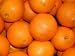 Organic Oranges