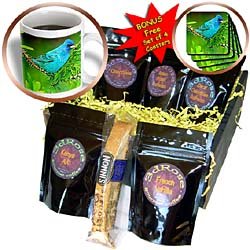 Birds - Indigo Bunting - Coffee Gift Baskets - Coffee Gift Basket by 3dRose LLC