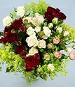 Elegant Spray Roses