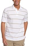 IZOD Men's Short Sleeved Oxford Pique Striped Polo