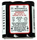 Cellular Phone Battery