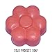 Pink/Red Mica Sample Set Powder Soap Making Colorant Cosmetics Art Crafts Nail Polish Resin Casting Stamping Dye Pigment Color