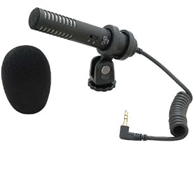 Click here to buy Audio-Technica PRO 24 Stereo Camcorder Condenser Microphone for Field Recording, Video... by Audio-Technica.