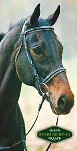 Henri De Rivel Dressage Bridle Cob Black