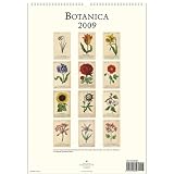 Botanica Cavallini 2009 Vintage Prints Wall Calendar 13 by 19 inches cream laid paper finish