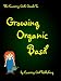 Growing Organic Basil: How To Grow Basil Organically