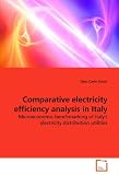 Comparative electricity efficiency analysis in Italy: Microeconomic benchmarking of Italy's electricity distribution utilities (Gian Carlo Scarsi)