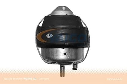 41LD-NK-7LL._SX425_.jpg