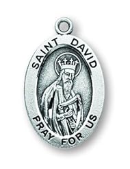 St. David Pendant Oval Sterling Silver with Chain