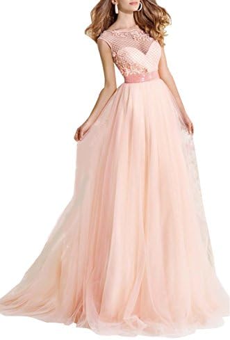 Butterfly Paradise Sheer Net Ravishing Evening Gown