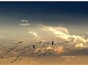 ...Love, Seagulls...: If Seagulls Could Talk What Wisdom Might They Share...?