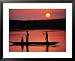 Rowing in Middle Sepik Region, Papua New Guinea Places Framed Art Poster Print by Peter Hendrie, 31x25