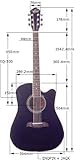 Oscar Schmidt  OG1FYS Acoustic Electrics G2CEB