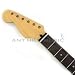 Mighty Mite Fender Licensed Replacement Stratocaster Guitar Neck - Rosewood - Left Handed