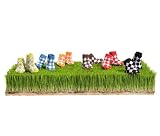 Argyle Trumpette Socks