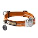 Ruffwear Top Rope Collar, Large, Burnt Orange