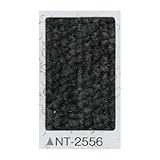 タイルカーペット　サンゲツ　ＮＴ－２５５６