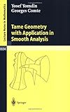 Tame Geometry with Application in Smooth Analysis (Lecture Notes in Mathematics)
