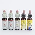 人気レメディ5本セット