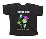 Scotland rugby