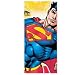 Superman Returns Table Cover