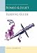 Romeo and Juliet Reading Guide (Oxford School Shakespeare)