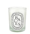 Baies (Berries and Bulgarian Roses) Candle 190g by Diptyque