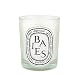 Baies (Berries and Bulgarian Roses) Candle 190g by Diptyque