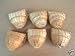 Finch Bird Bamboo Covered Bird Nest Lot of 6 - Medium