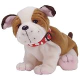 Review TY  / TY Huggins the Valentine Dog Beanie Baby