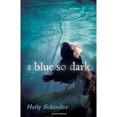 Holly Schindler YA Pack - Holly Schindler