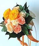 �y�T���N�X�u�[�P�z�E�G�f�B���O�u�[�P�@���E���h�u�[�P�y�v���U�[�u�h�t�����[�z