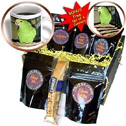 Birds - Double Yellow Amazon - Coffee Gift Baskets - Coffee Gift Basket by 3dRose LLC