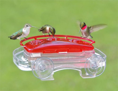 Aspects Jewel Box Window Hummingbird Feeder 41LF9b7dzTL Aspects Jewel Box Window Hummingbird Feeder