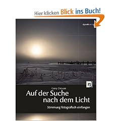 Auf der Suche nach dem Licht: Stimmung fotografisch einfangen