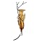 Amphora Glass on Metal Twigs Sconce - Amber