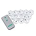Glamorway Pack of 12 Remote controlled Submersible Wedding Party Vase Plum Blossom Shape LED Tea Light White