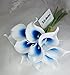 Lily Garden Mini 15