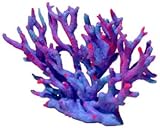Ornament - Gorgonian Coral Small Purple