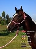 Basic Cool Citrus Poly Rope Halter w/Lead Lime