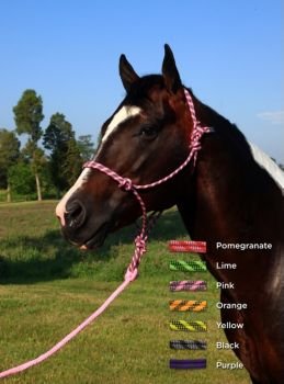 Basic Cool Citrus Poly Rope Halter w/Lead Purple