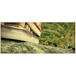 Minuscule, la vallée des fourmis perdues (Combo BLU-RAY 3D + DVD) [Combo B